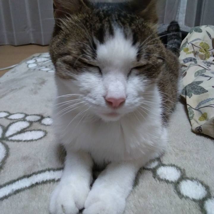 782c21c9 b7a7 4353 a7f4 a7650adce6a1 1525085736687