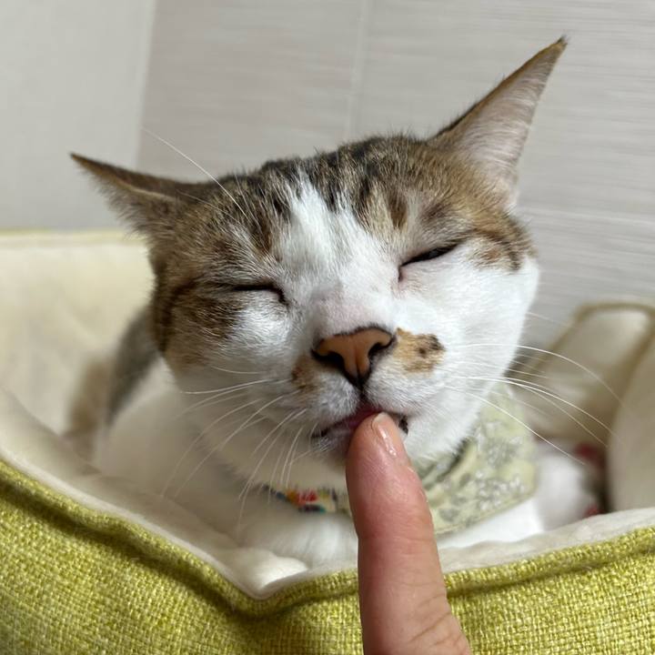 782c5a1f 50a2 40eb 907b aa5636a3cc65 1761517982866