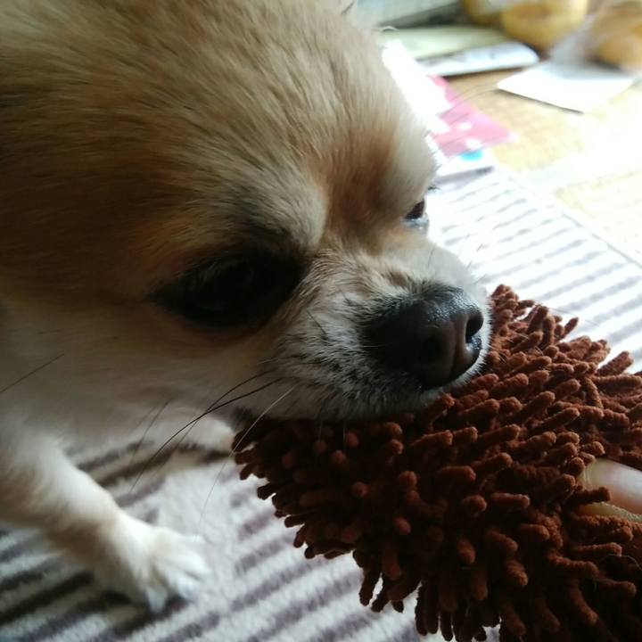 782c5d8d 2ef0 4acc 9958 0f83835ad8ee 1555736234399