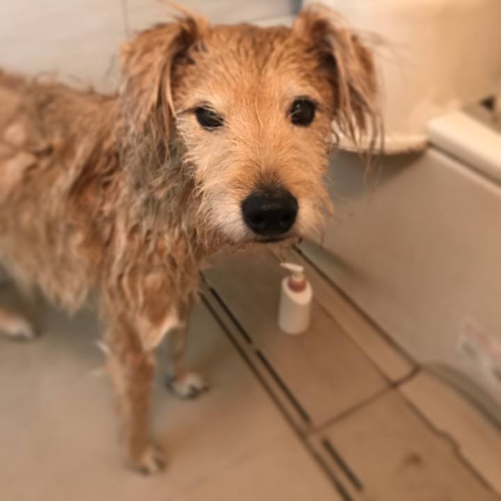 782c7981 ce86 40af be05 f7aeae9d6241 1577446920714