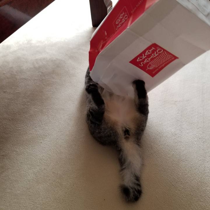 782caca6 5406 463a b781 6133f6ea38ce 1670027798704