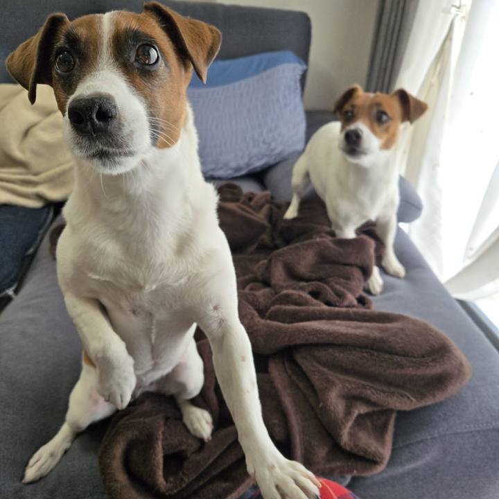 782cbf7c e5d1 4c3c a550 4e39daaeca04 1774244869584