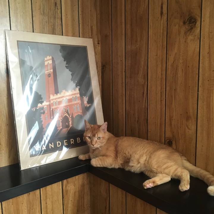 782cde5c fdd6 44fb a924 cb525d86af35 1633794852537