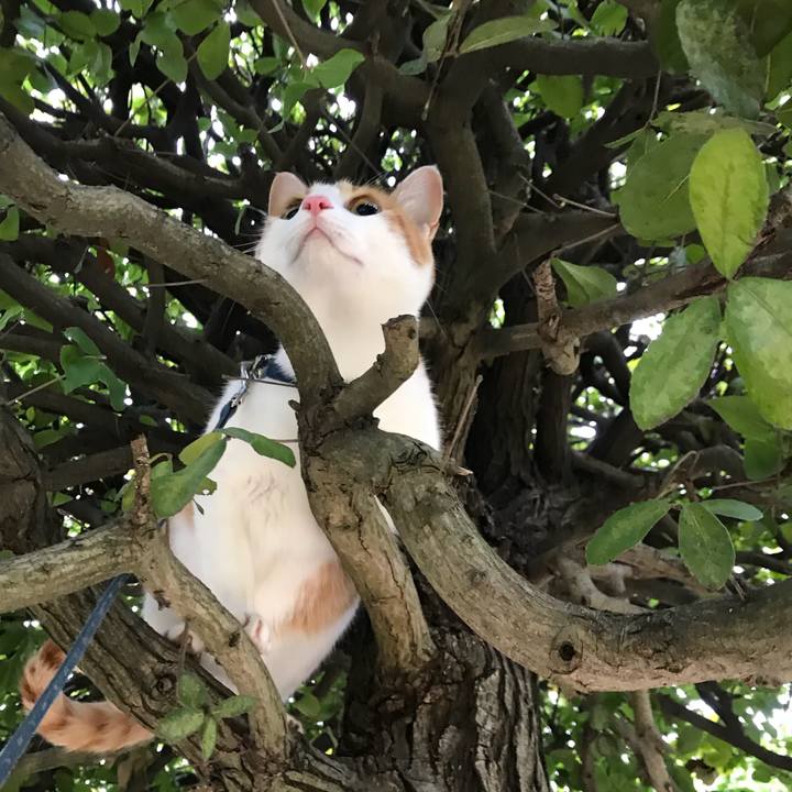 782d1422 af0f 4eeb 885c d5d7f6e5cbbf 1516623186754