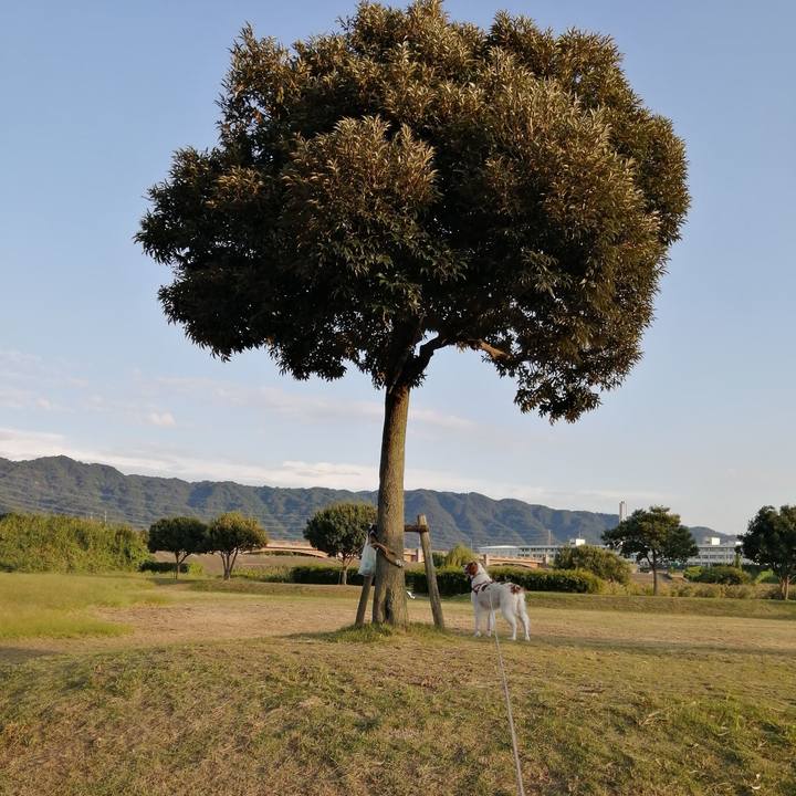 782d2f53 f346 4963 8702 fee596ade7e2 1570447166526