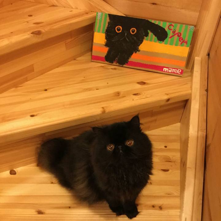 782d90fb eb71 4fe1 a3b0 ecf92610d61f 1524998872807