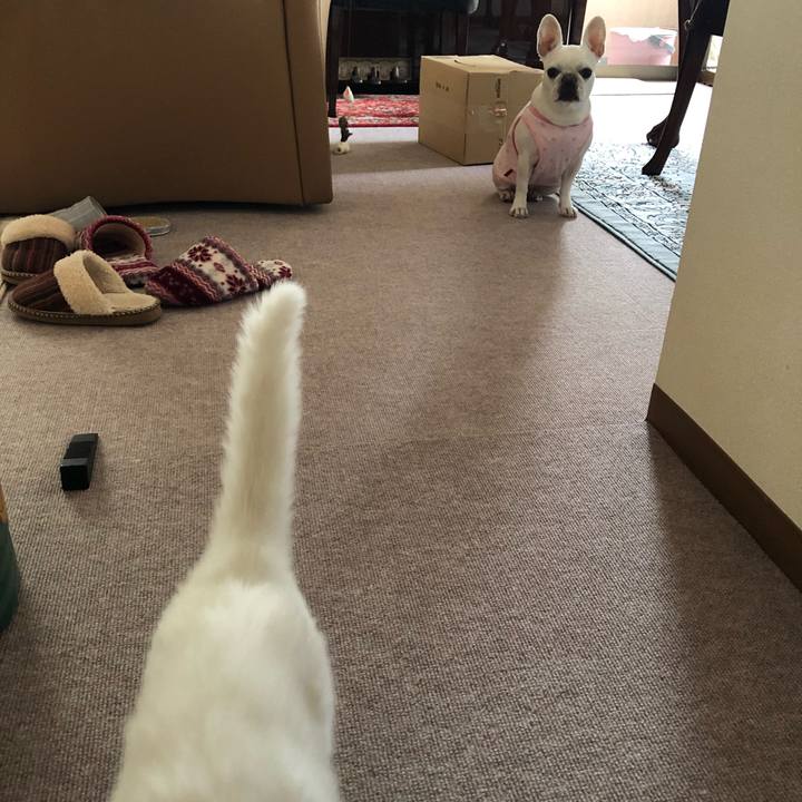 782dbecd 9b05 43c3 a90b 2d48ac37288a 1552714802980