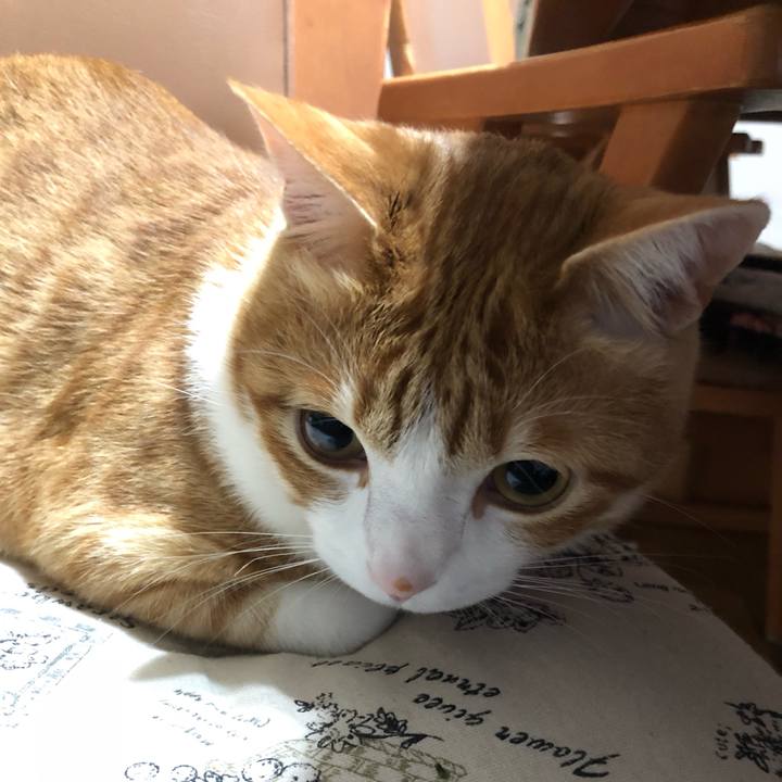 782dd7a3 09f1 43da 808b d1ad82c4ac03 1524576398097