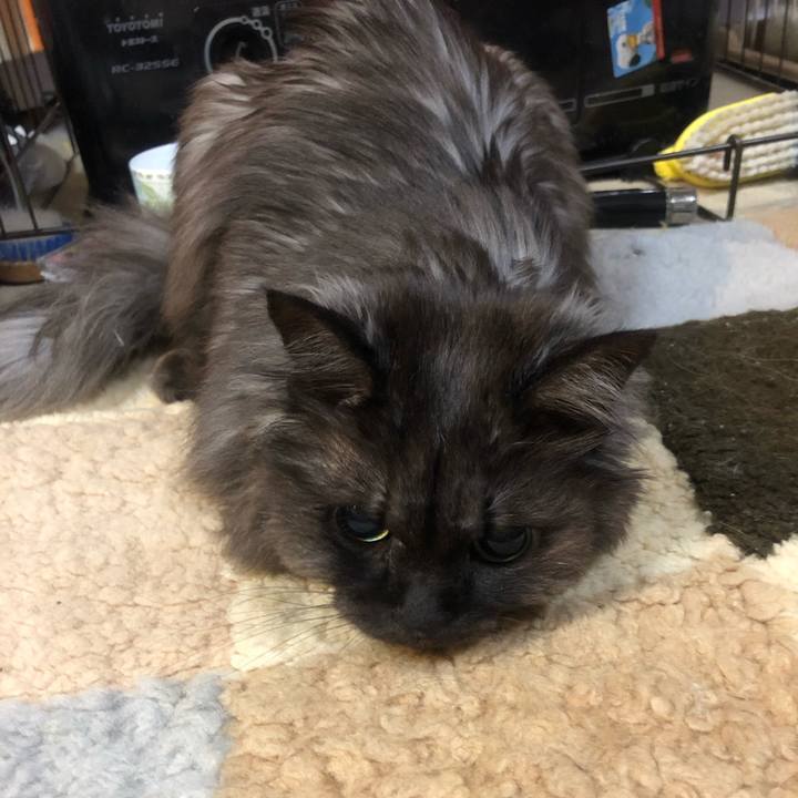 782dd8fa 369e 4c29 bba6 d7995c77742e 1548196786631