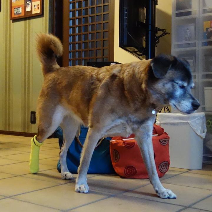 782df07d 591f 43bf a434 ed2b1007712e 1654734678153