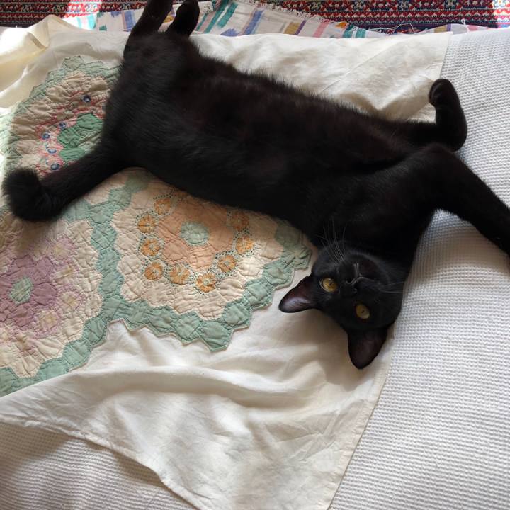 782df2ec d0d6 4005 8843 62f9f4531424 1550744296170