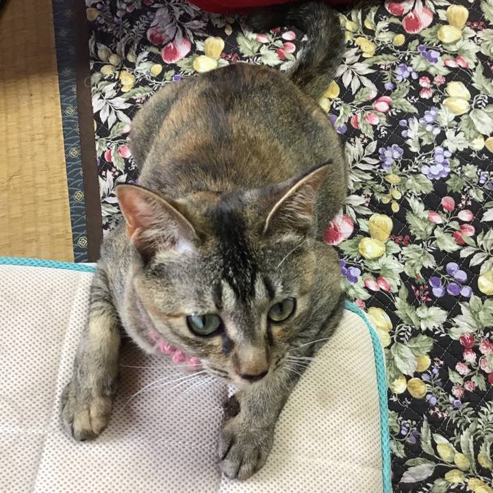 782dfb91 e229 42a6 9a09 176ed8ab85d0 1594191823690