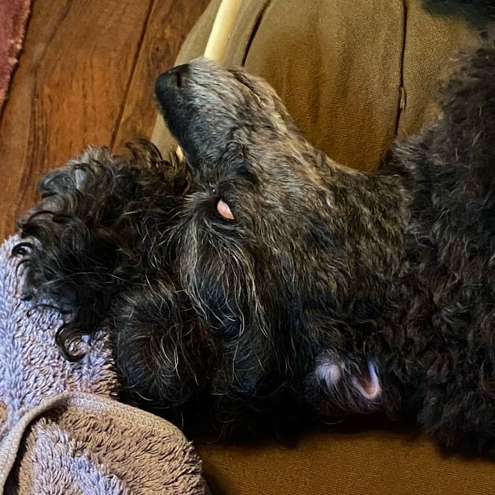 782e2b5b 3f32 4df7 a789 8ecc95aed133 1724626641911