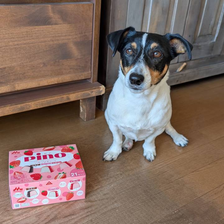 782e5c6a bf8c 4d19 869a 50fad0167590 1768282849872