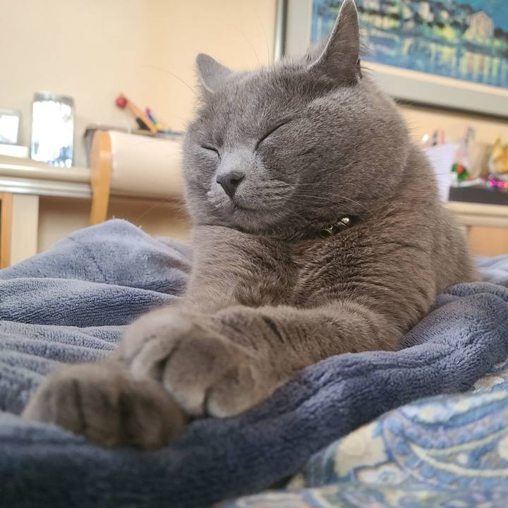 782e9271 3d64 4a38 ac51 c9b2c400937d 1619073022593