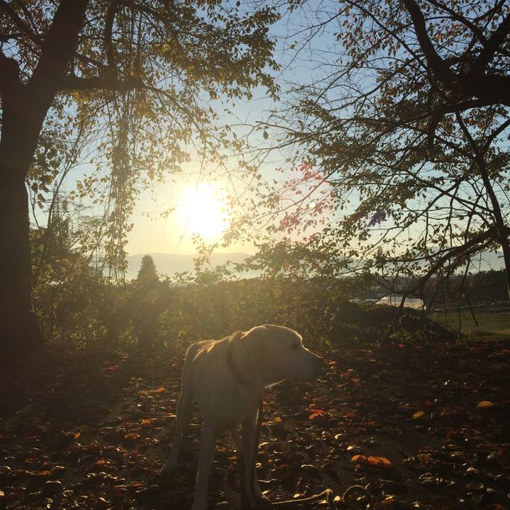 782ea791 a938 4c8f 884a f9c6da82f1be 1566262788465