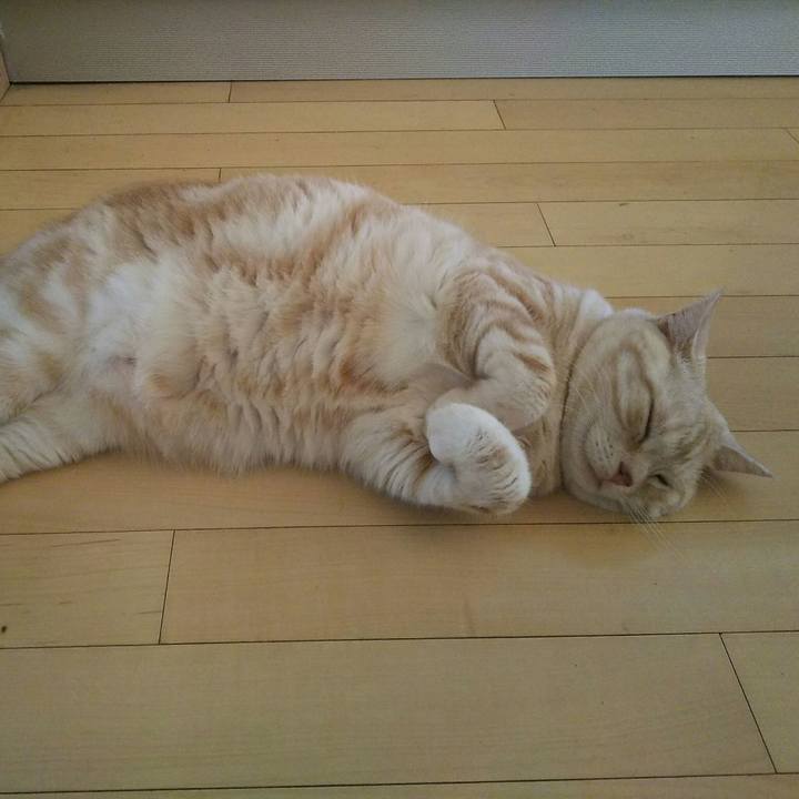 782ed6ad f111 4406 9646 2b97a460850d 1530587709465