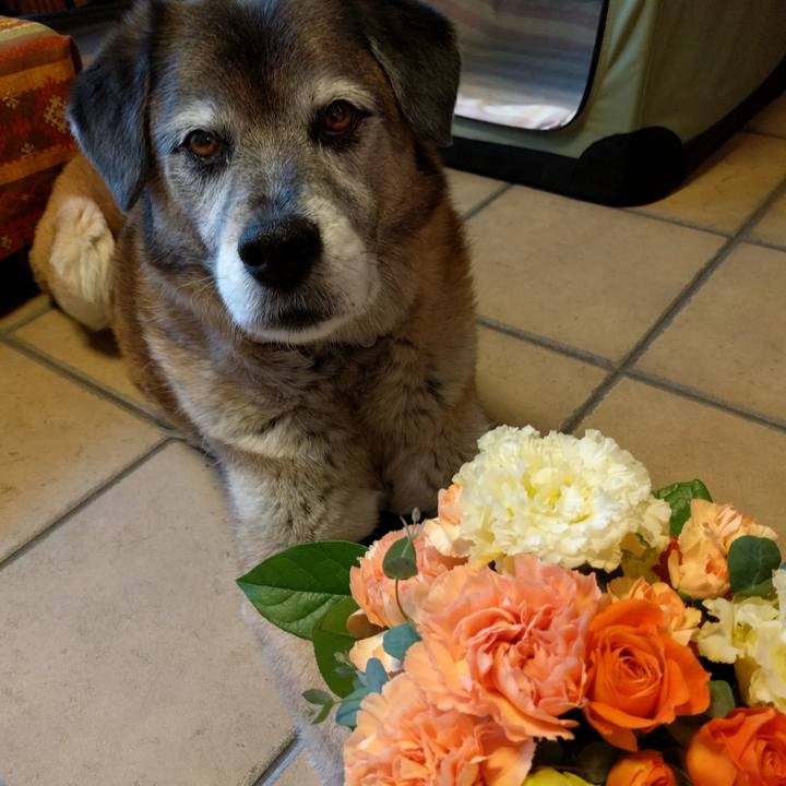 782ee611 32e7 476d a6ca 3064b05915c2 1555486014751