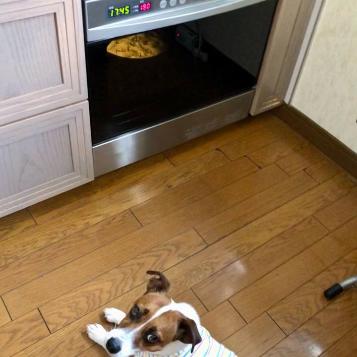 782ef392 9637 468d 9ead 43f2f9071de6 1624853153989