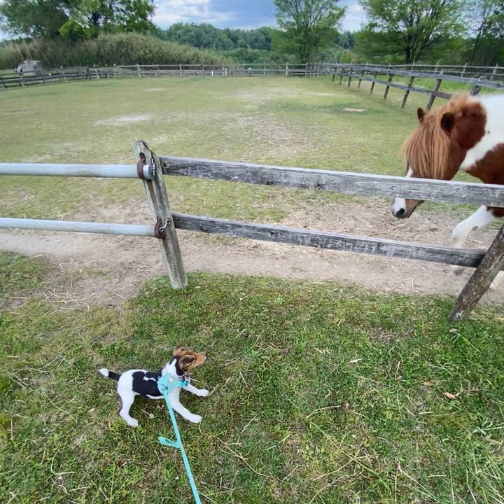 782f21c2 31b5 4ca9 93da ce77d4bd7d35 1746363170889