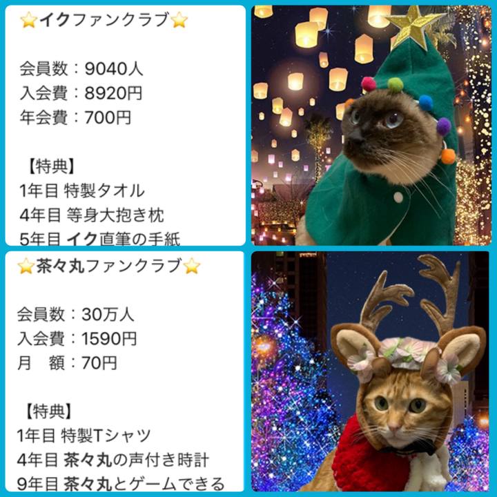 782f5a2d b9db 4733 992a 771250dc60ed 1608204709381