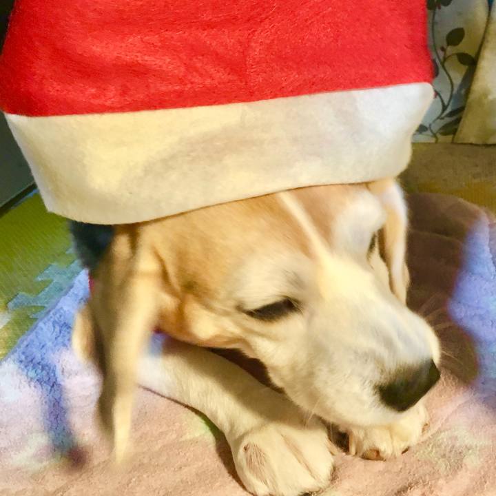 782f6504 a3fe 4e62 acbd 378afc7e1033 1766409238813