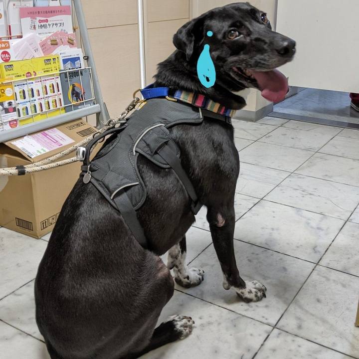 782f7f98 039d 4dec 9648 207737649fdc 1637751781764