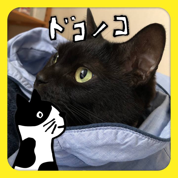 782f9603 1b09 4d61 88ee 0d93e11bf770 1623019066765