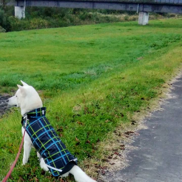 782fa061 2139 4d49 816b 1be84aa3935a 1508153820603