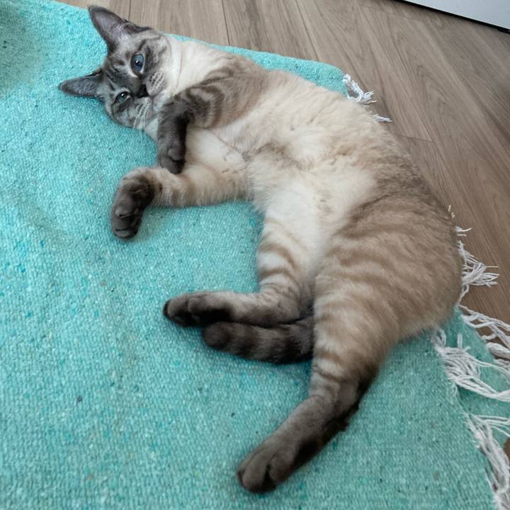 782fd36b d538 49a0 a40d c97ae68b56b6 1690168910565