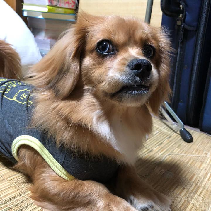 782fe0ba 821f 45bd ba97 0d41be0b5a85 1517177119298