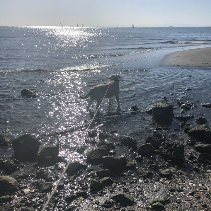 782feae1 4ca4 4635 9dc0 d8ecdbaf60d0 1614808837647