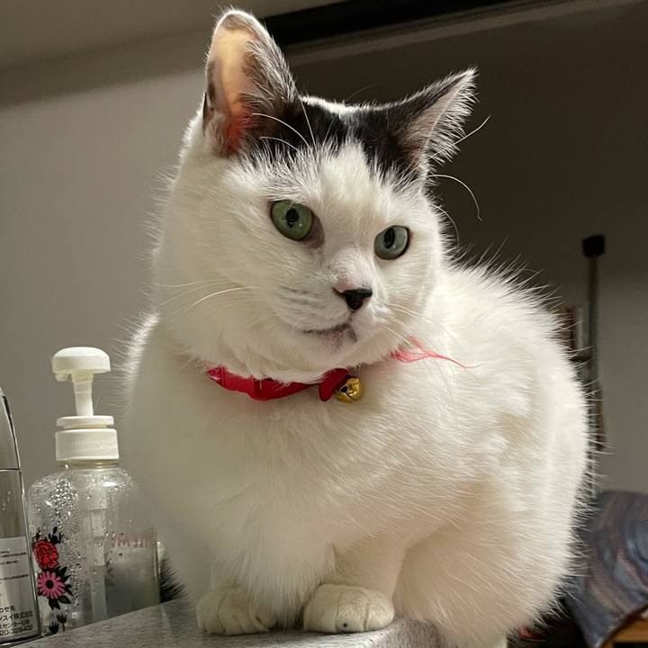 782fed3e a541 444c a8b9 44ff20d638ea 1613226367835