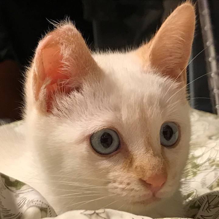 782ffa97 34f8 4f6f 8cb1 1104ec21307c 1574077019185