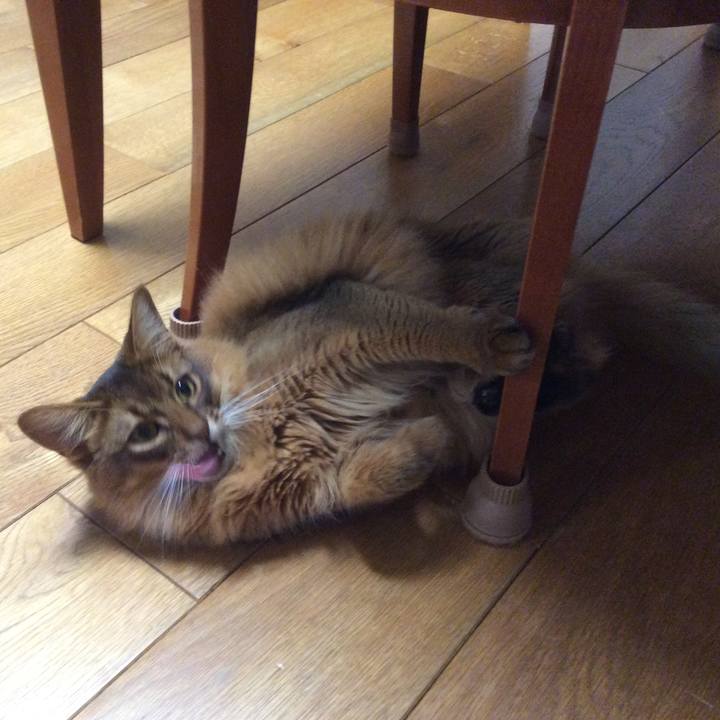 782ffdb9 4c40 48c4 9734 14157d9c8a0b 1623112110617