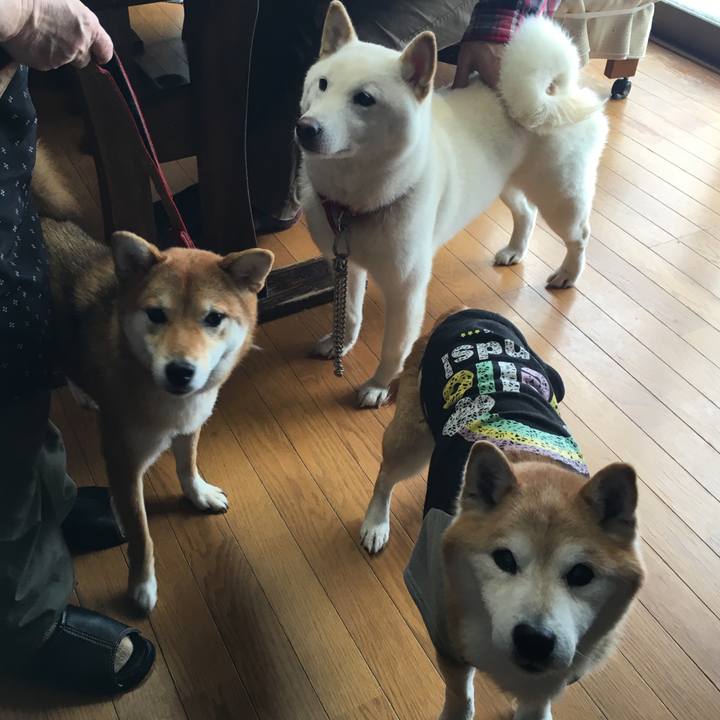 78300b6f 360b 4c46 abee 4164d44226d1 1534896184806