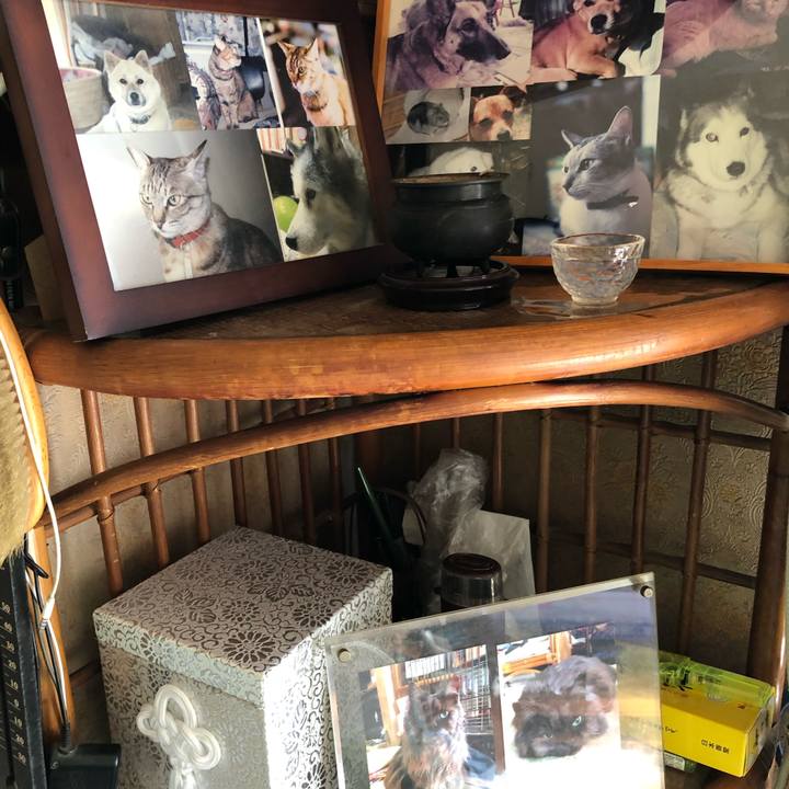 78301dfe e1d8 488e af23 1de863542d73 1565832897628