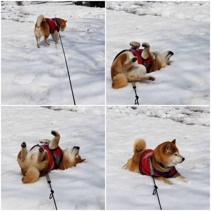 783046b9 9cb7 487b 994b bafd5d48d852 1552707687768