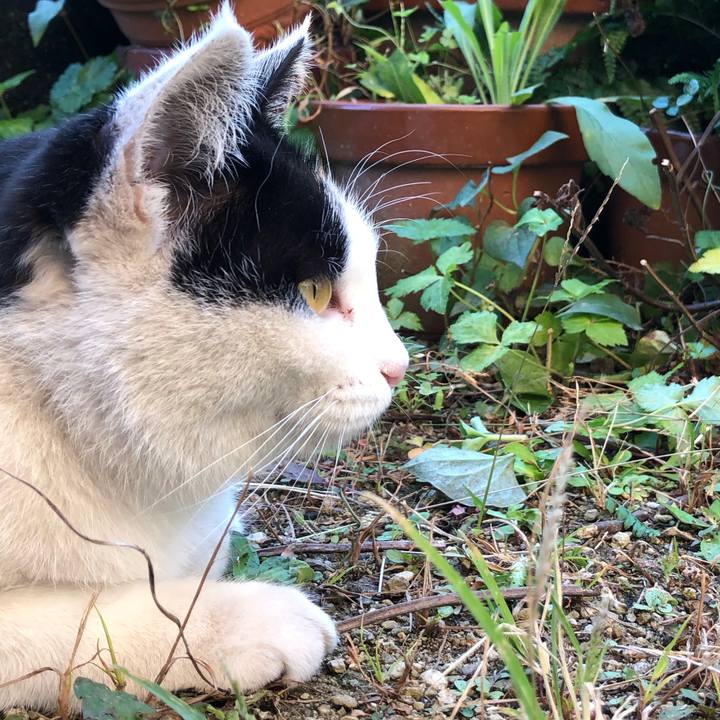 78305bdd f617 4c8e 9171 667d327768cf 1604820405736