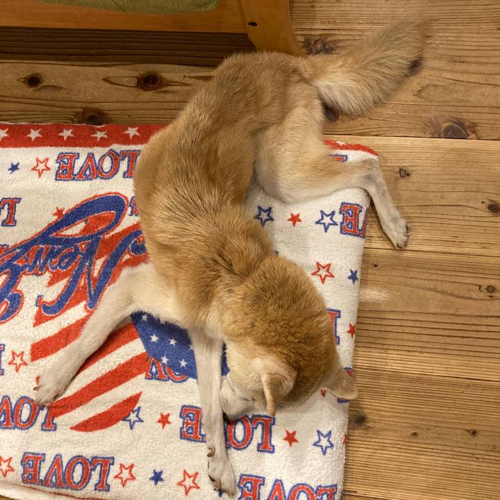 78309005 bde9 4036 a4d1 ba1dc0800d39 1601557176234