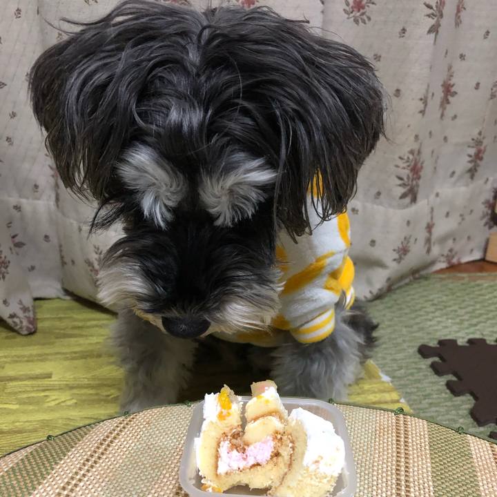 78309e4e afe5 4960 a27f e29e3024c803 1704458246441