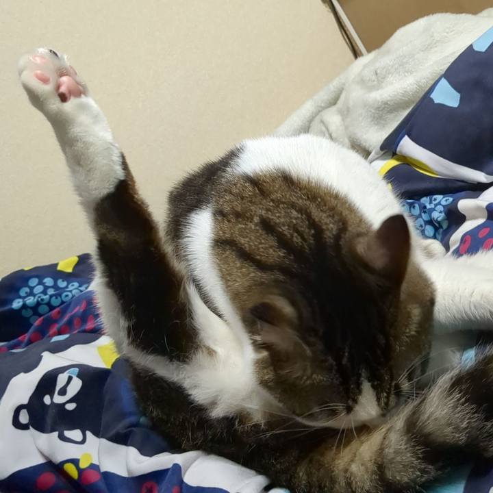 7830a253 420a 49f9 b271 4226c1c40707 1668917552848