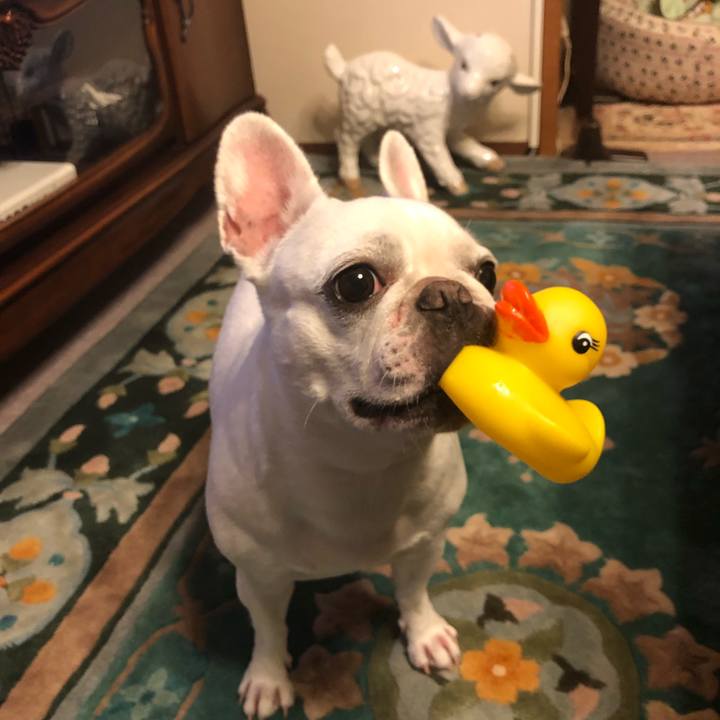 7830da49 eb1c 4b28 8d5c 443c6ac6b616 1600851198602