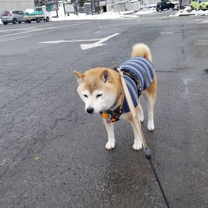 7830e5eb dddf 4c17 aa48 0335dae79c6f 1709089764592