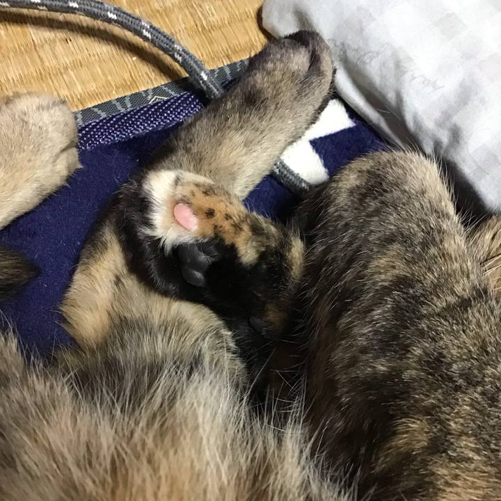 78311e47 6485 46a3 b559 69be40f9c1ef 1708590682822