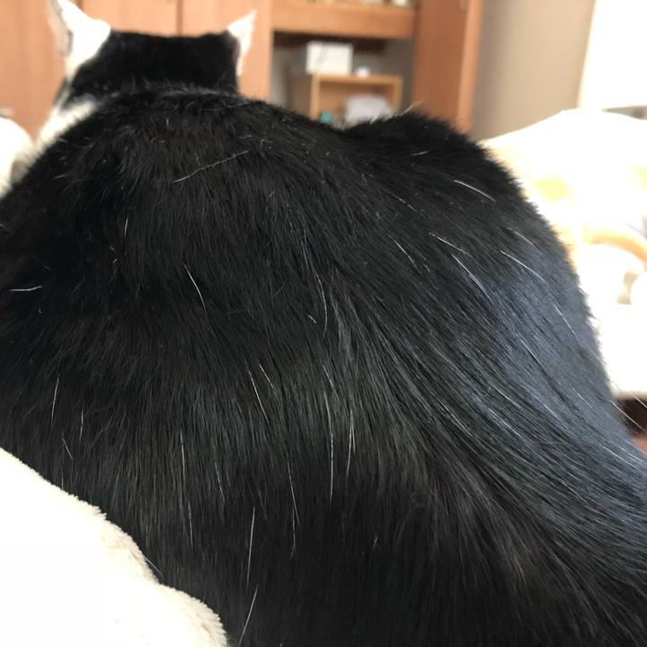 78312259 6f9c 4fdd 9270 48f0b6b23681 1550615846046