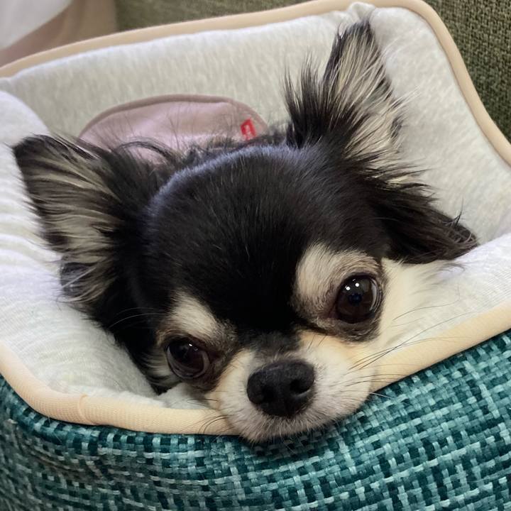 7831656b 3c0c 4aed 8918 95b3ee9734fb 1677983985596