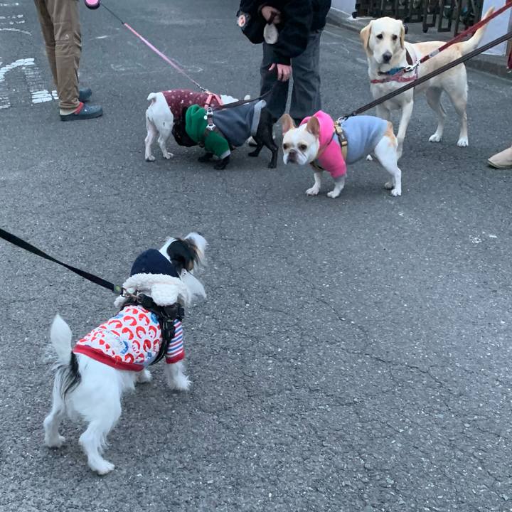 7831893e 4a06 47d8 a4af 1e0b0e4f6f1c 1703062166254