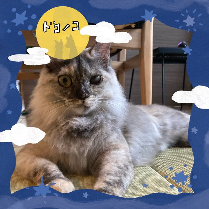 7831952f 2491 4fa7 899e a6195420af95 1726803510427