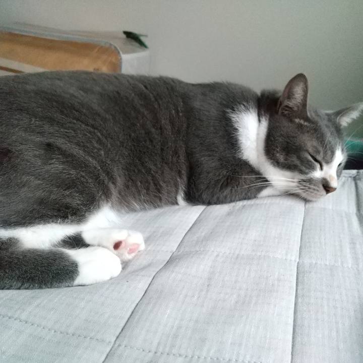 783198d6 b163 46ec 9ec9 3d6dc0792aea 1634338653447